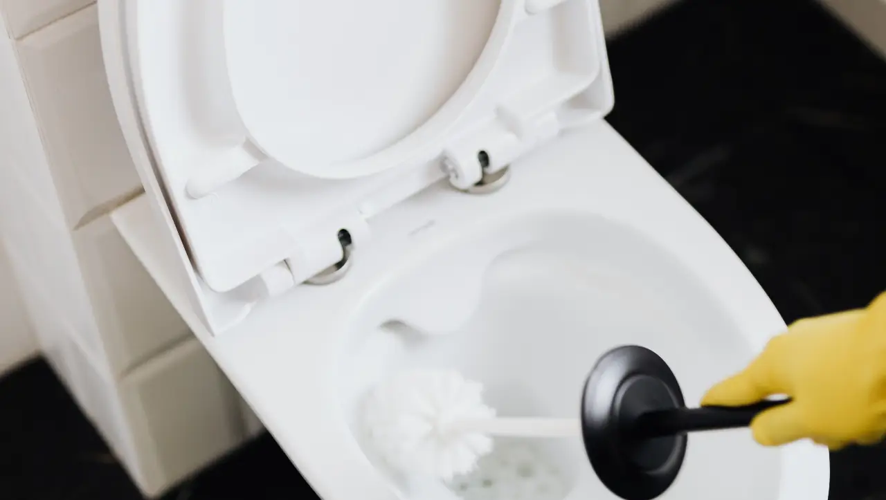 Unblock a clogged toilet cost