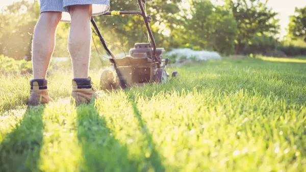 Mow the lawn Mow the lawn