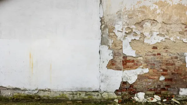 Damp proofing Damp proofing