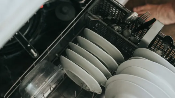 Dishwasher repair