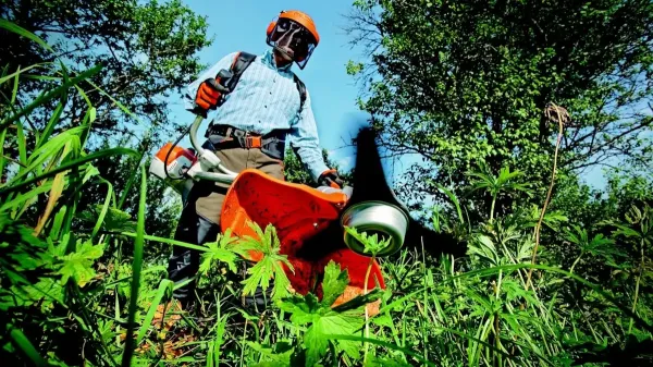 a gardener using a strimmer to clear garden