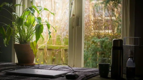 Garden office Garden office