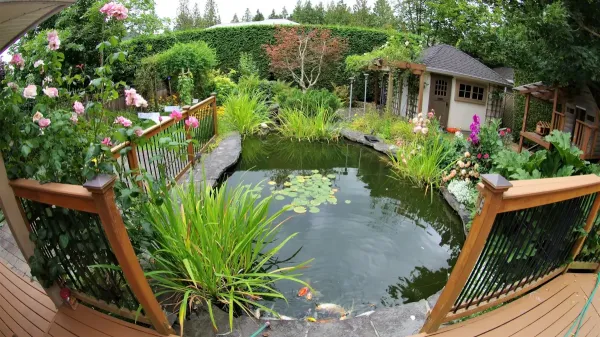 Garden pond