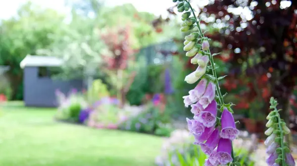 Garden landscaping
