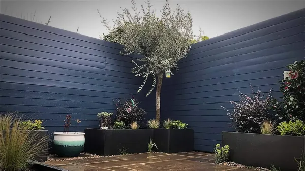 Painting or staining a fence