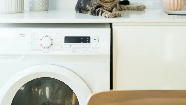 Install a washing machine Install a washing machine
