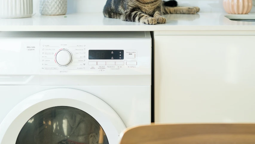 Install a washing machine cost