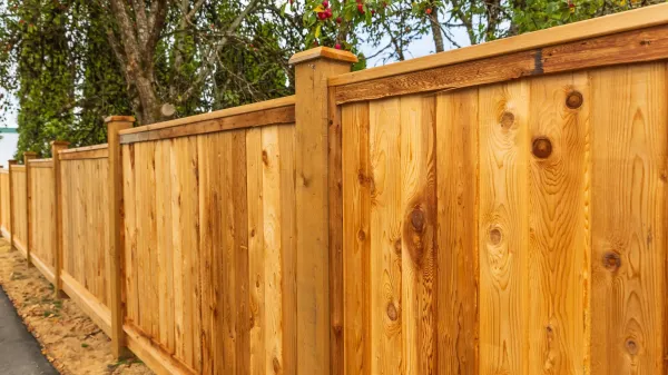 Fencing Fencing