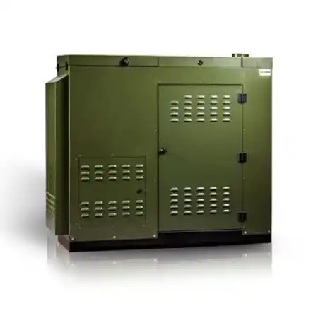Biomass boiler