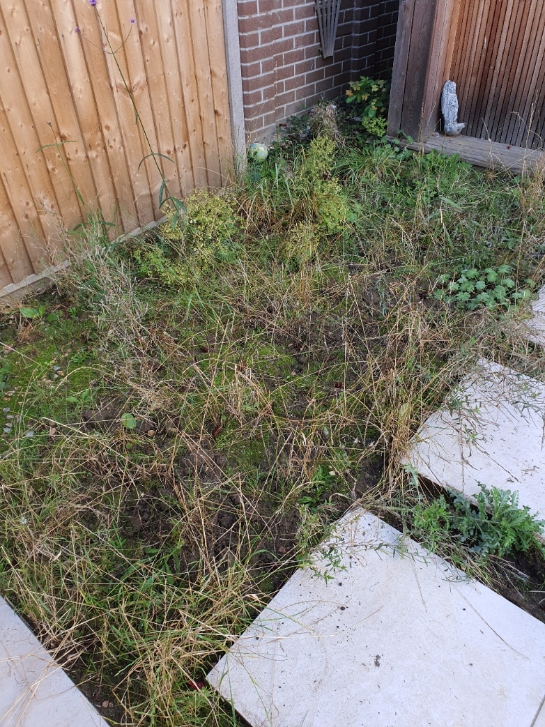 Gardener: Image 4