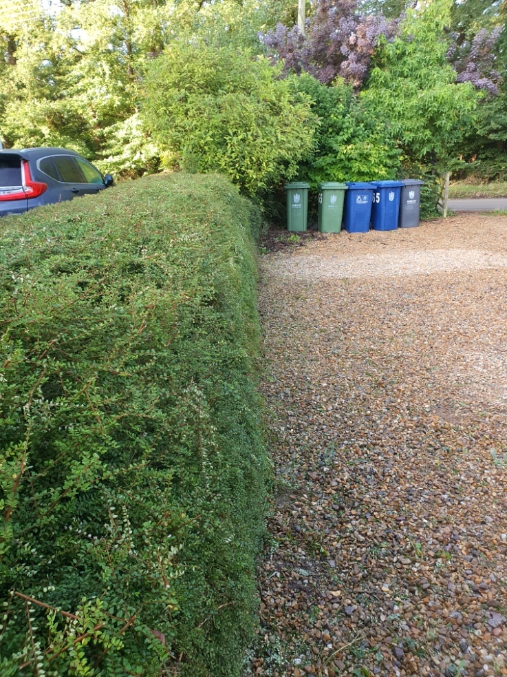 Gardener: Image 5