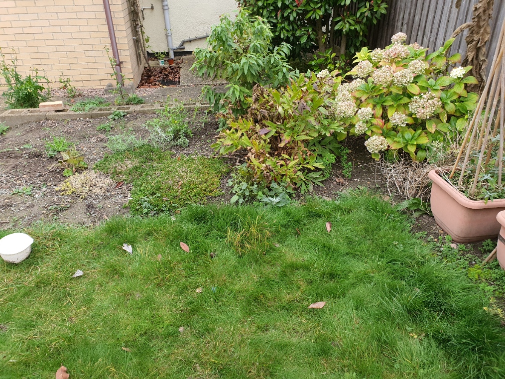 Gardener: Image 9