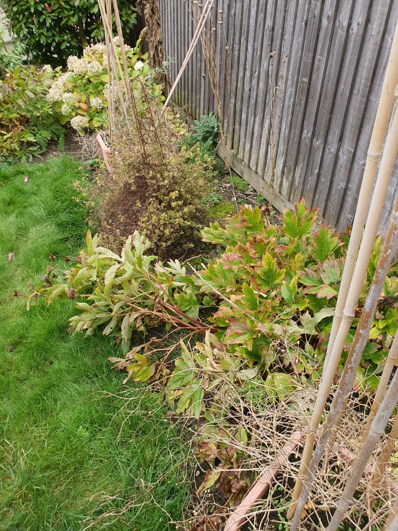 Gardener: Image 10