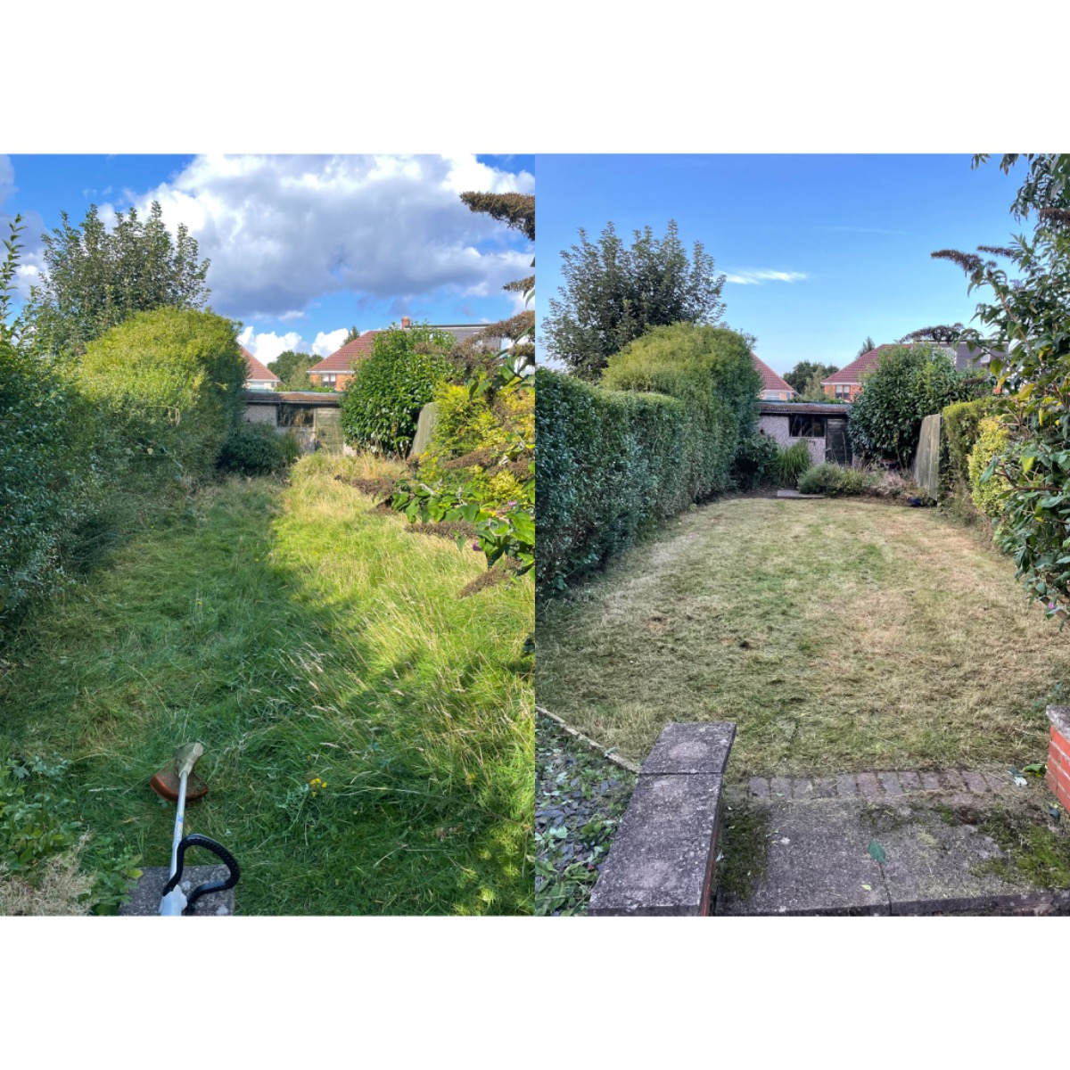 Gardener: Image 10