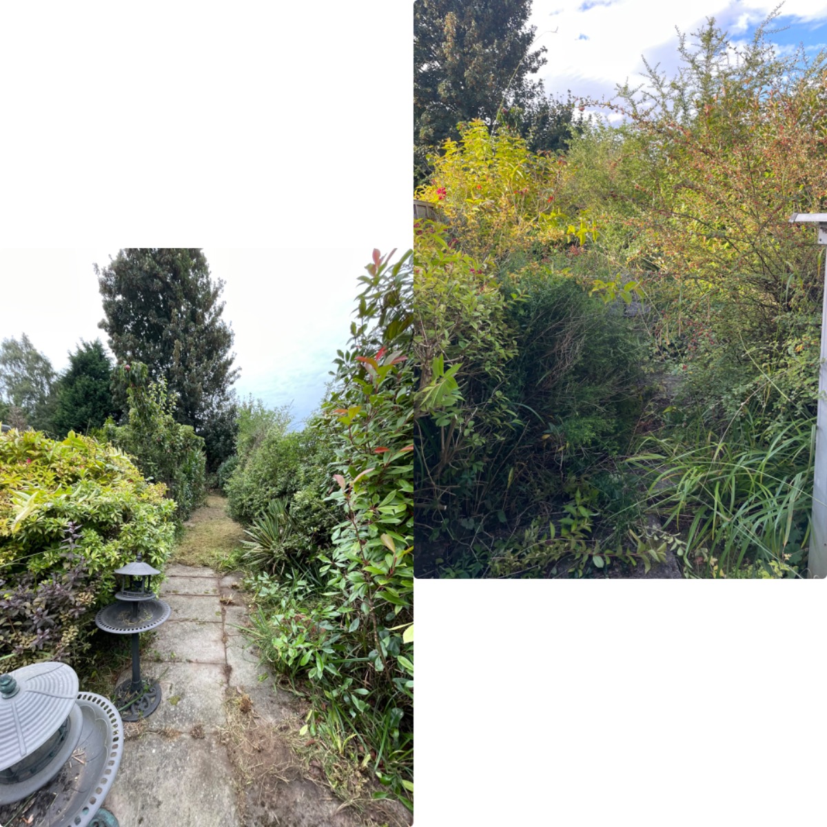 Gardener: Image 8