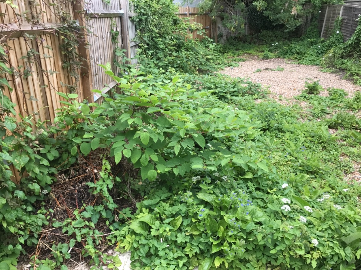 Gardener: Image 11