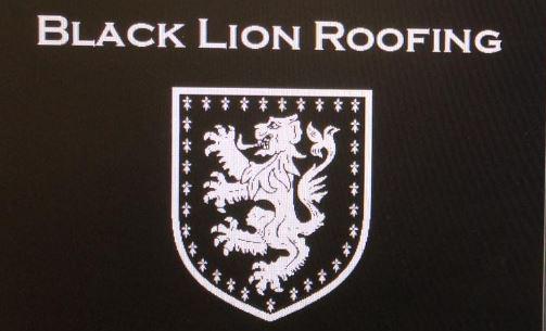 Company: Image 1