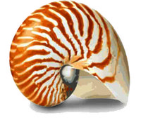 Company: Image 1