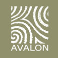 Company: Image 1