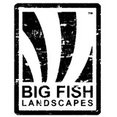 Company: Image 1