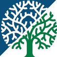 Company: Image 1