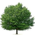 Company: Image 1