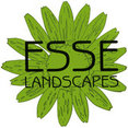 Company: Image 1