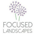 Company: Image 1