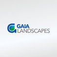 Company: Image 1