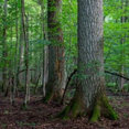 Company: Image 1