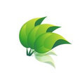 Company: Image 1