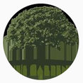Company: Image 1