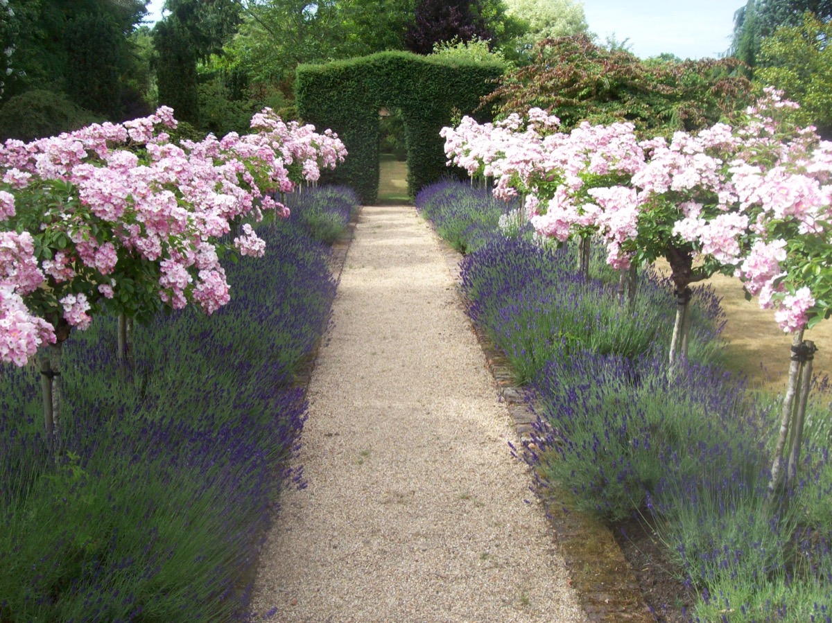 Gardener: Image 10