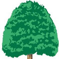 Company: Image 1