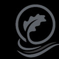 Company: Image 1