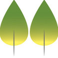 Company: Image 1