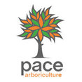 Company: Image 1