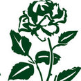 Company: Image 1