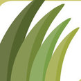 Company: Image 1