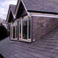 Company: Image 1