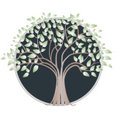 Company: Image 1