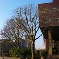 Company: Image 1