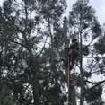 Company: Image 1