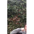 Company: Image 1