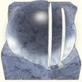 Company: Image 1