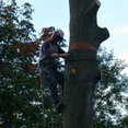 Company: Image 1