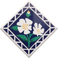 Company: Image 1
