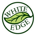 Company: Image 1
