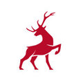 Company: Image 1