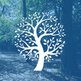 Company: Image 1